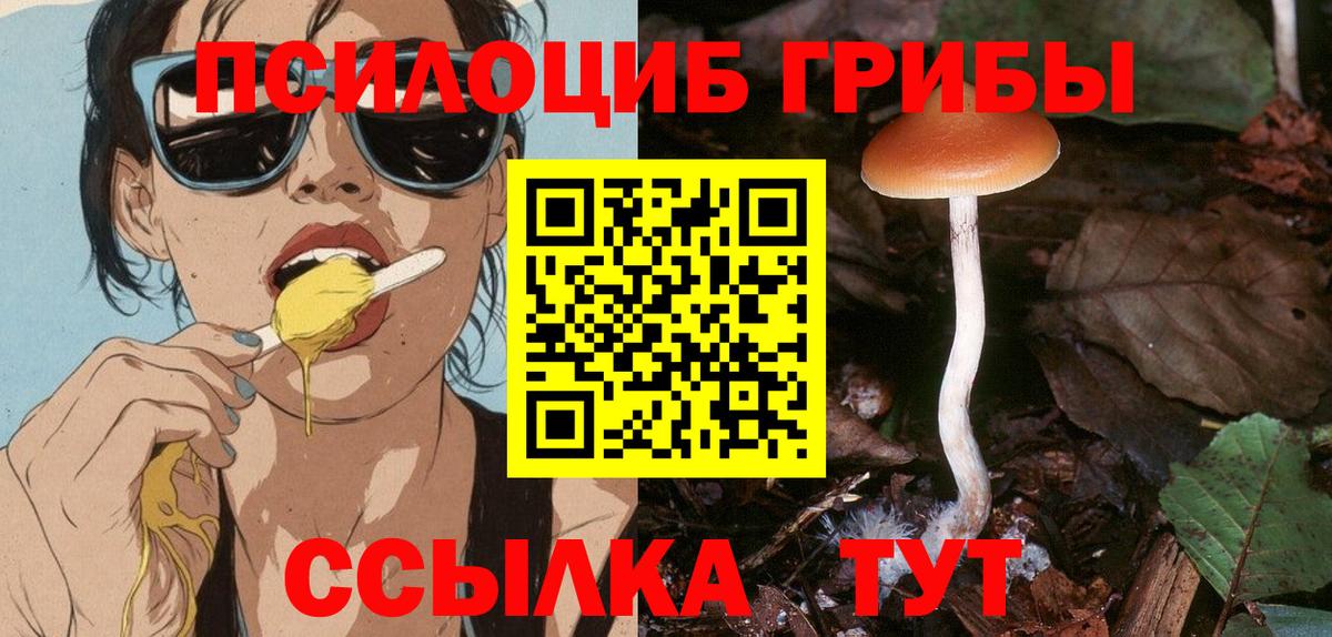 Псилоцибиновые грибы мухоморы  Псилоцибиновые грибы Magic Shrooms  Шелехов  Вход с VPN 